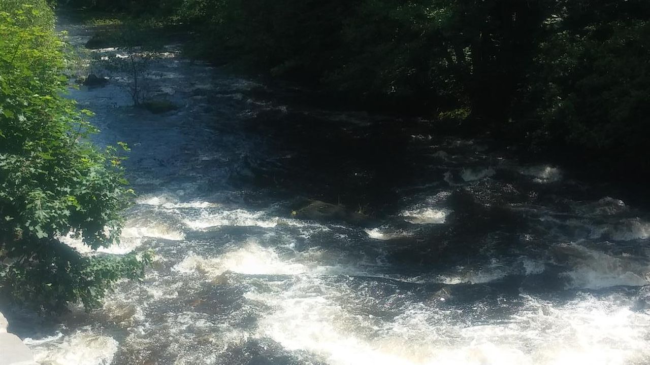 Die Rur direkt vor der Tür Die Rur direkt vor der Tür